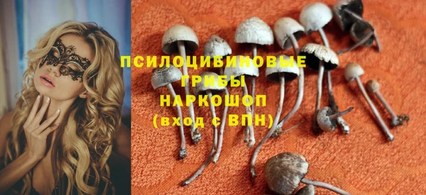 прущая мука Алзамай