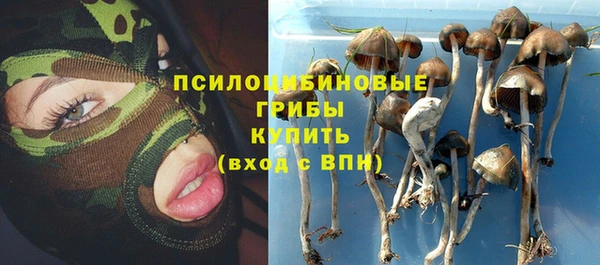 прущая мука Алзамай