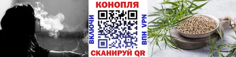 Марихуана гибрид  Байкальск 